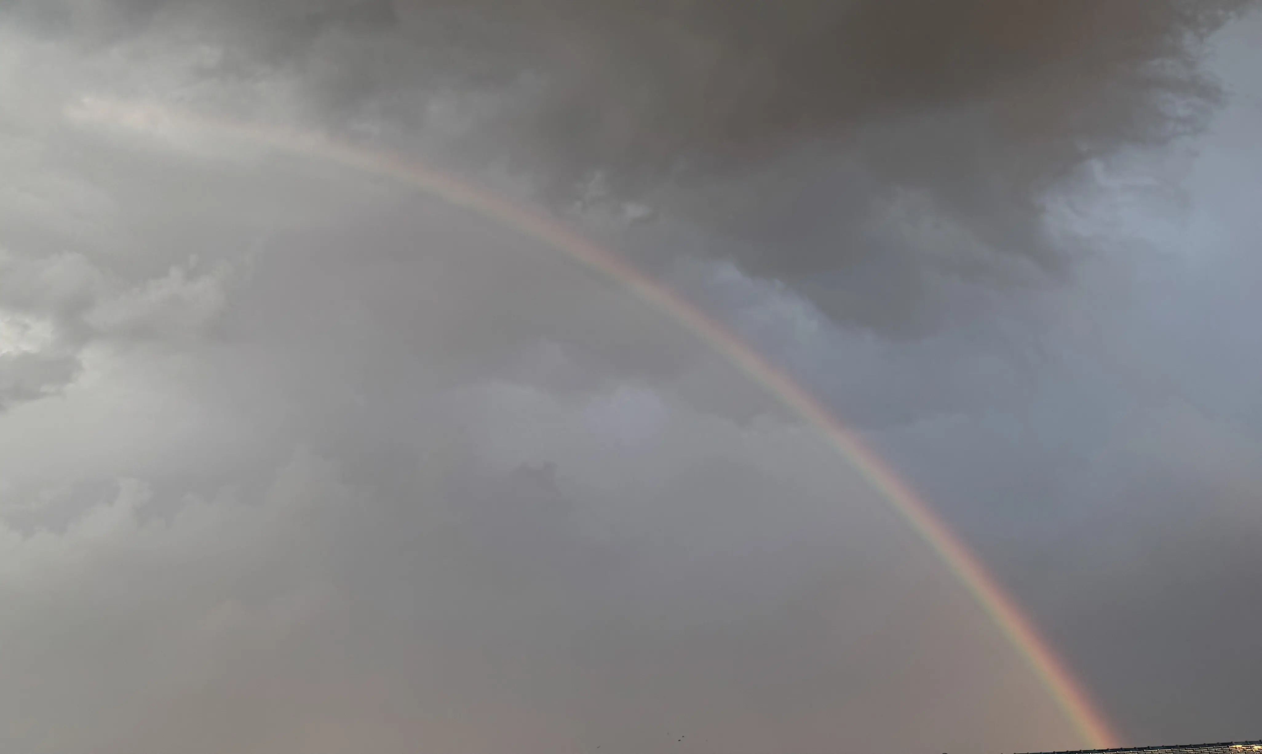 雨上がりに見えた虹